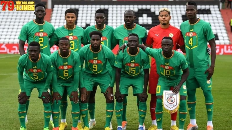 Tìm hiểu về đội tuyển bóng đá của quốc gia Senegal