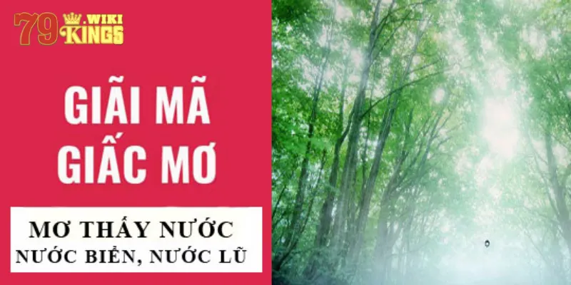 Giải mã giấc mơ thấy nước cùng 79king