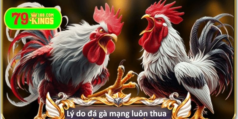 Đá gà mạng luôn thua do nhà cái không uy tín