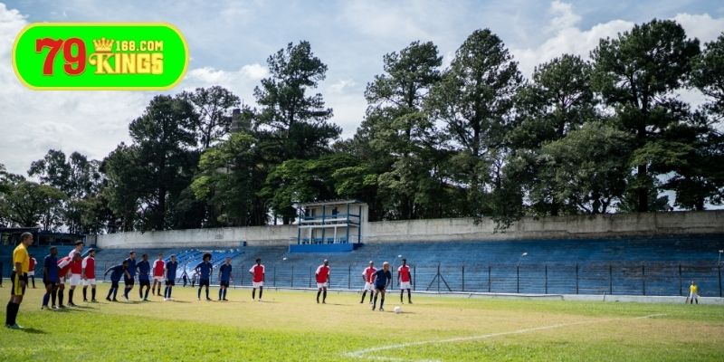 Luân lưu có nhiều mô hình để bạn tha hồ dự đoán