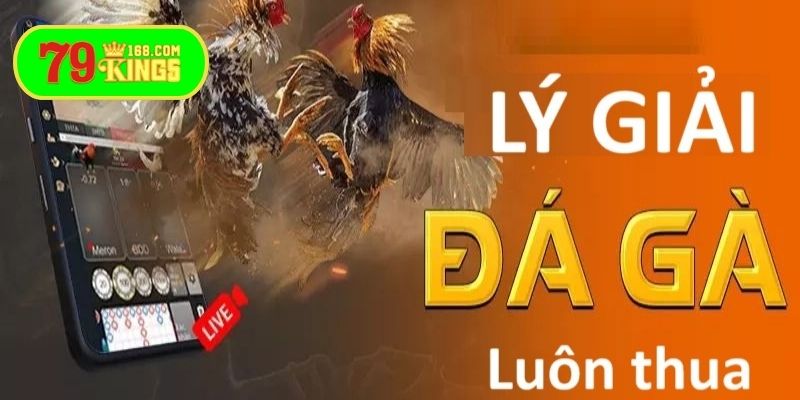 Tại sao đá gà mạng luôn thua